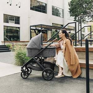 Коляска 2 в 1 UPPAbaby "Виста В3 Грейсон"